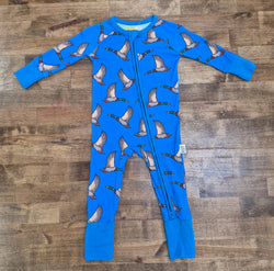 Blue Feathered Bamboo Sleeper