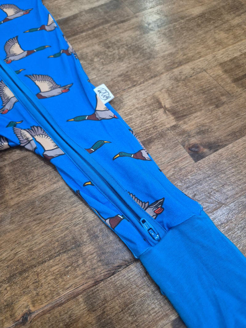 Blue Feathered Bamboo Sleeper