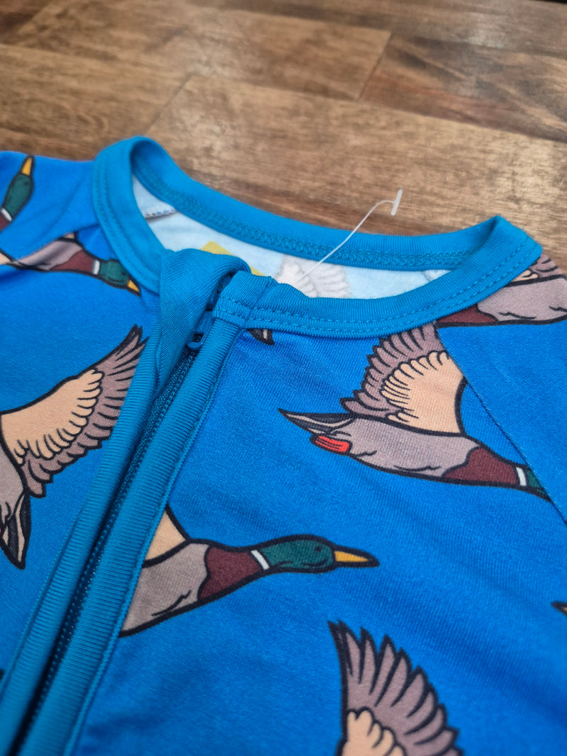 Blue Feathered Bamboo Sleeper
