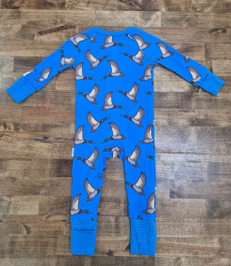 Blue Feathered Bamboo Sleeper